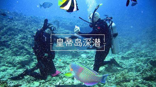 雏菊花园逃生